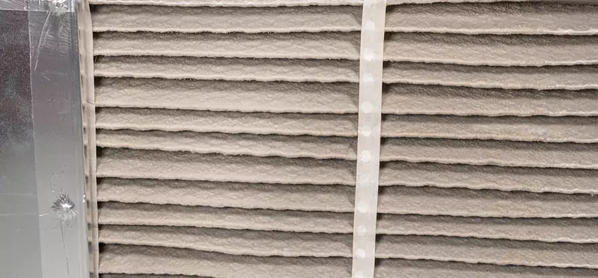 Mobile Car AC Filter Replacement in Shoreview