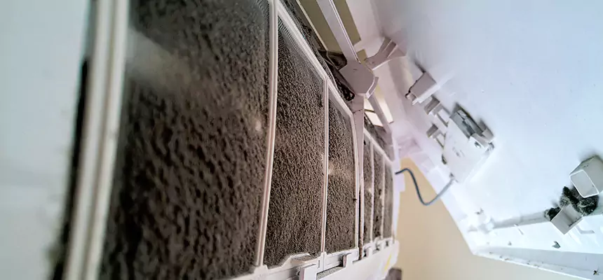 Preventive Air Duct Bacteria Removal in Shoreview