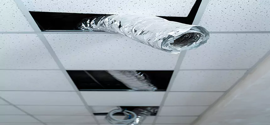 Our Air Duct Pet Hair Removal Services in Shoreview, MN