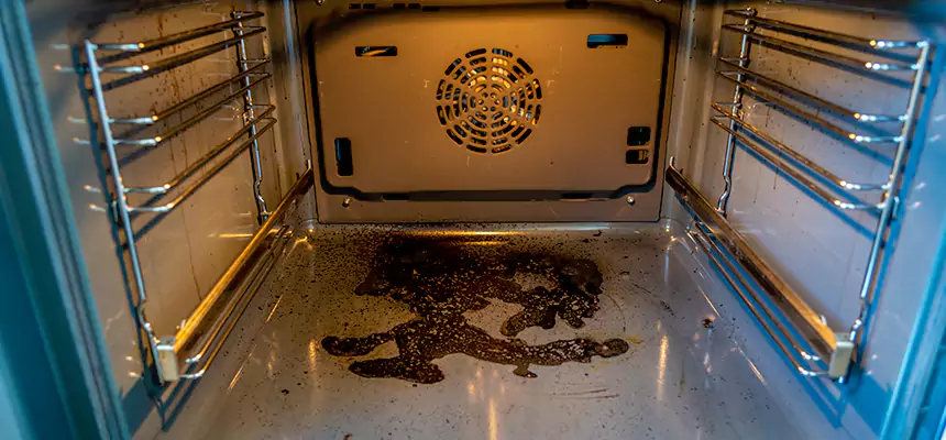 Our Dryer Vent Mold Cleaning Services in Shoreview, MN