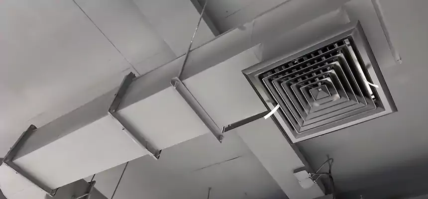 Our Pest Removal From Ducts Services in Shoreview, MN