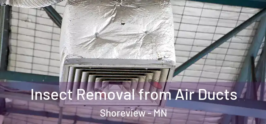  Insect Removal from Air Ducts Shoreview - MN