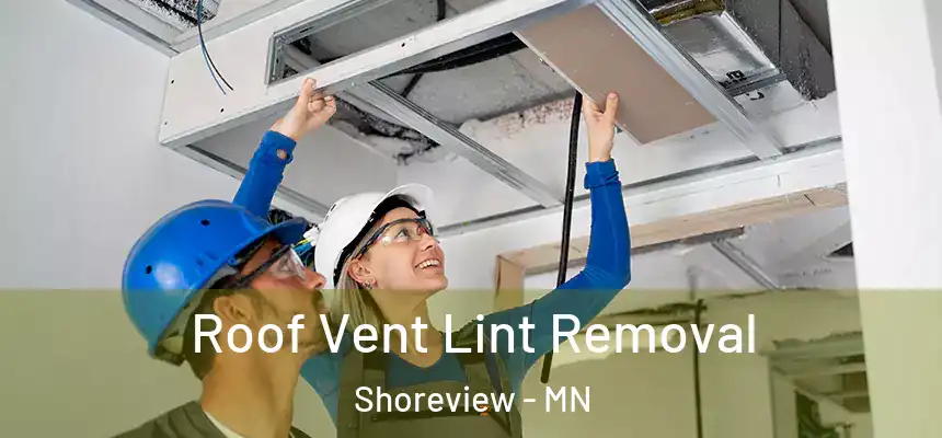  Roof Vent Lint Removal Shoreview - MN