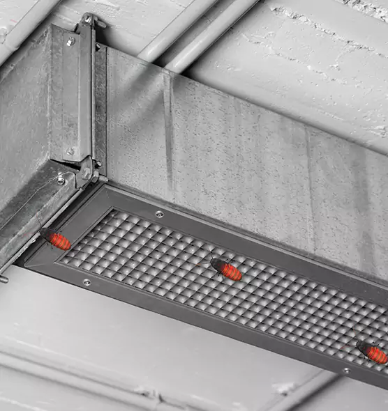 Affordable Insect Removal from Air Ducts in Shoreview, MN
